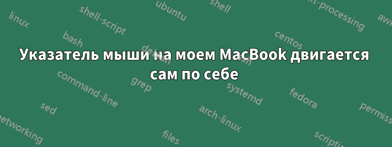Указатель мыши на моем MacBook двигается сам по себе