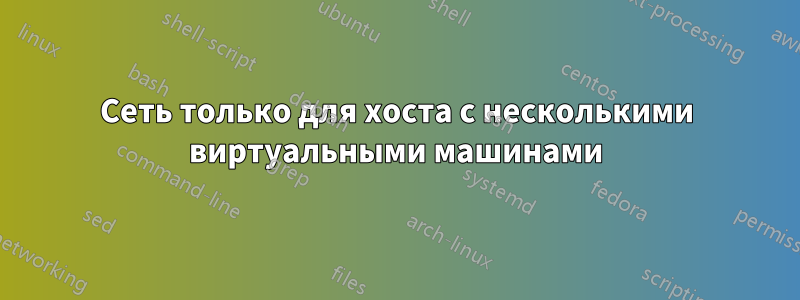 Сеть только для хоста с несколькими виртуальными машинами