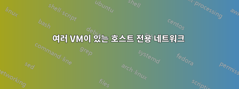 여러 VM이 있는 호스트 전용 네트워크