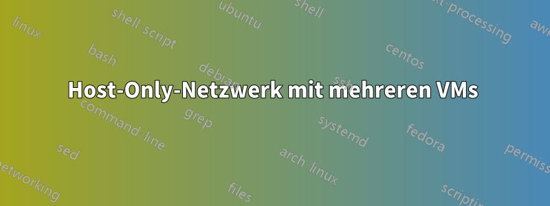 Host-Only-Netzwerk mit mehreren VMs