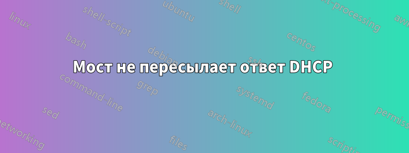 Мост не пересылает ответ DHCP