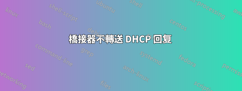 橋接器不轉送 DHCP 回复