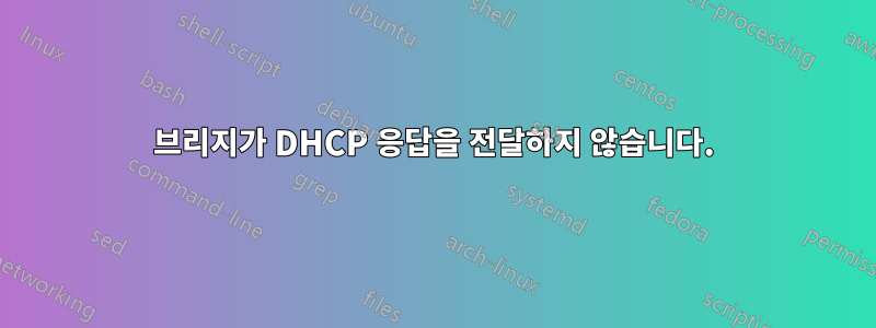 브리지가 DHCP 응답을 전달하지 않습니다.