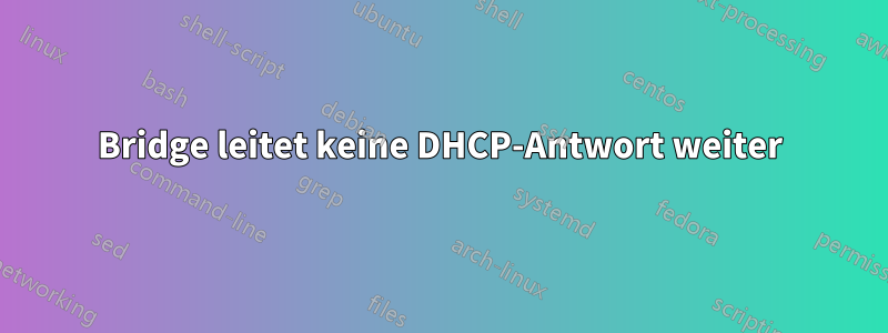 Bridge leitet keine DHCP-Antwort weiter