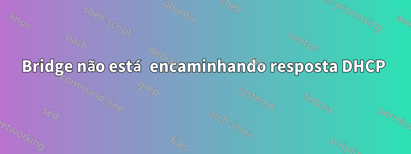Bridge não está encaminhando resposta DHCP