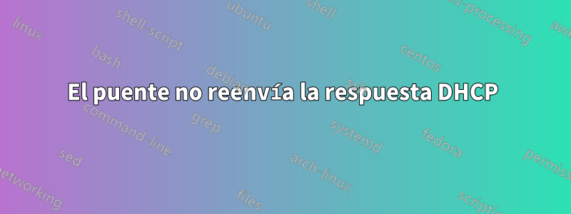 El puente no reenvía la respuesta DHCP