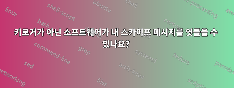 키로거가 아닌 소프트웨어가 내 스카이프 메시지를 엿들을 수 있나요?
