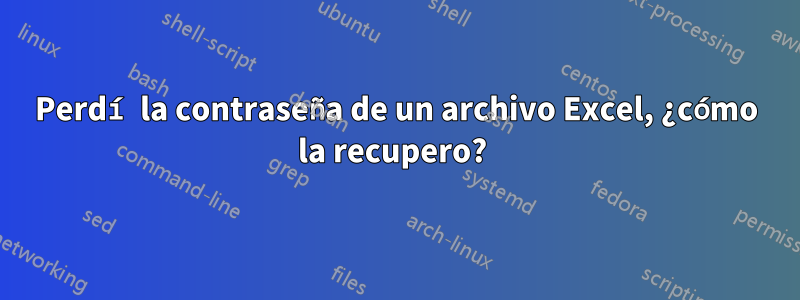 Perdí la contraseña de un archivo Excel, ¿cómo la recupero? 