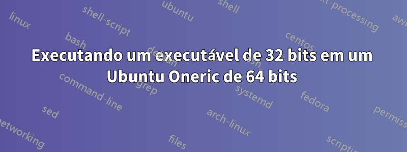 Executando um executável de 32 bits em um Ubuntu Oneric de 64 bits