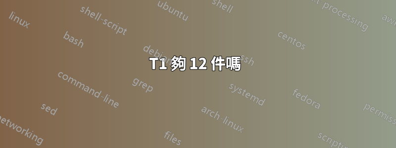 T1 夠 12 件嗎 