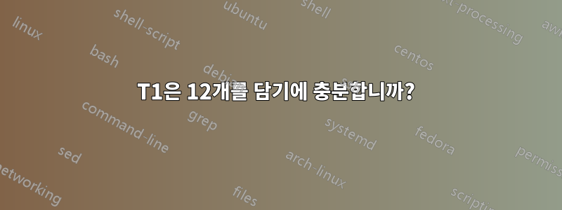 T1은 12개를 담기에 충분합니까? 