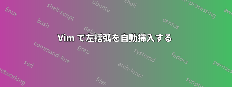 Vim で左括弧を自動挿入する