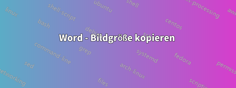 Word - Bildgröße kopieren