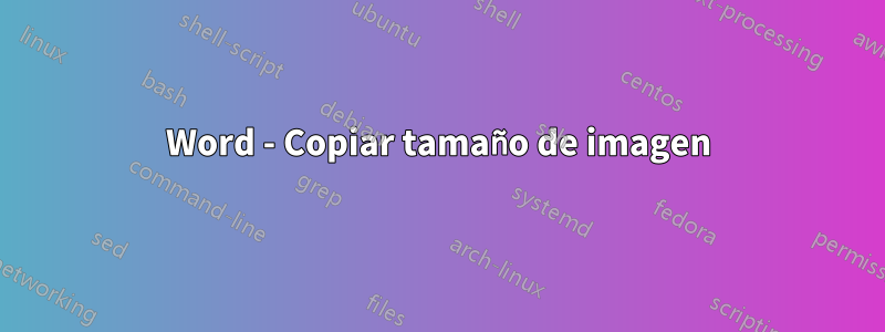 Word - Copiar tamaño de imagen