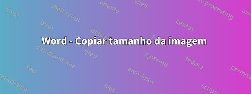 Word - Copiar tamanho da imagem
