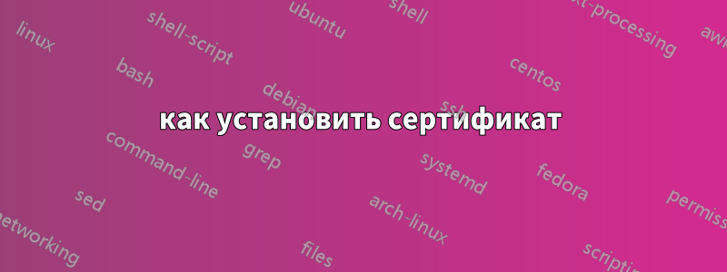 как установить сертификат