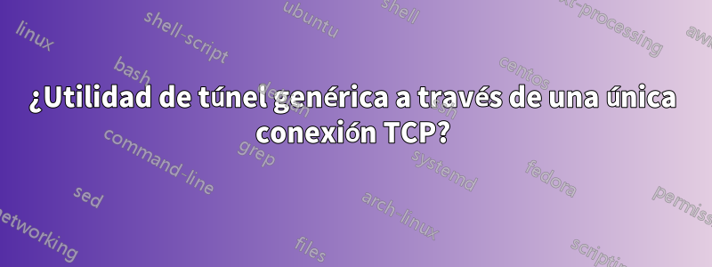 ¿Utilidad de túnel genérica a través de una única conexión TCP?