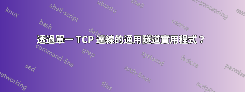 透過單一 TCP 連線的通用隧道實用程式？