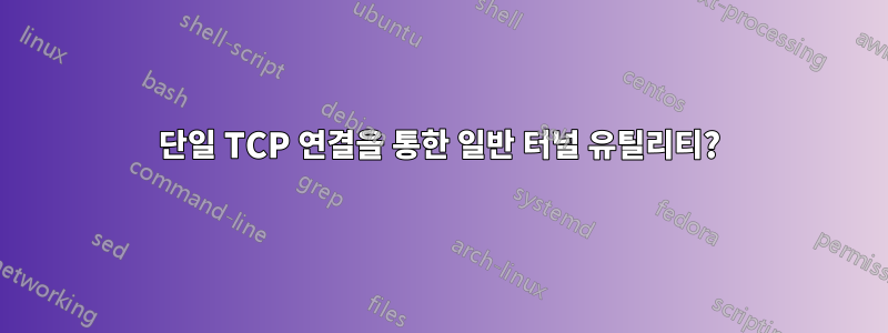 단일 TCP 연결을 통한 일반 터널 유틸리티?