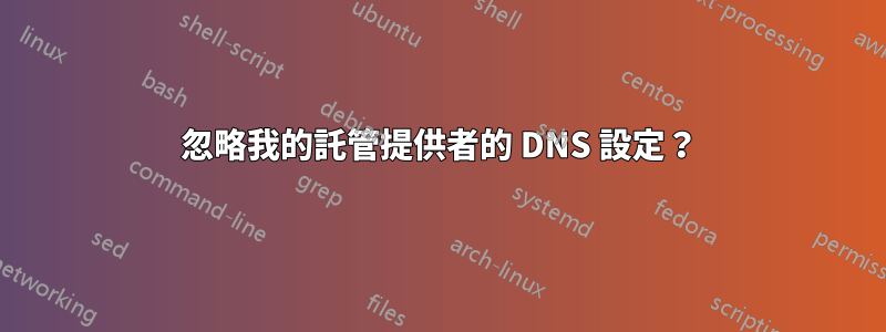 忽略我的託管提供者的 DNS 設定？