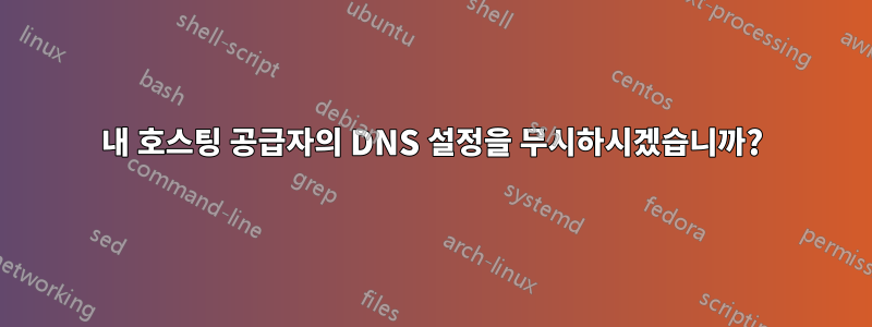 내 호스팅 공급자의 DNS 설정을 무시하시겠습니까?