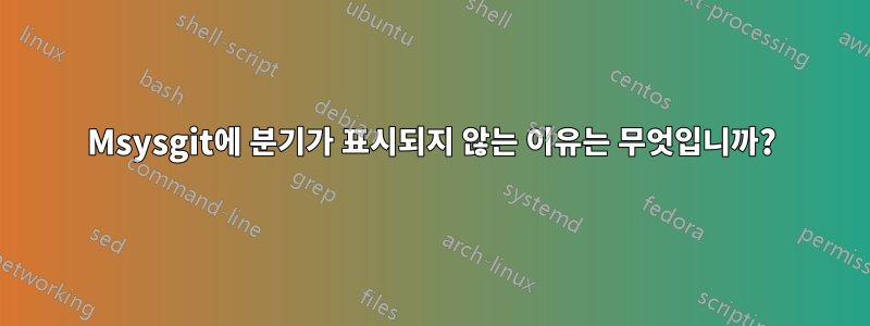 Msysgit에 분기가 표시되지 않는 이유는 무엇입니까?