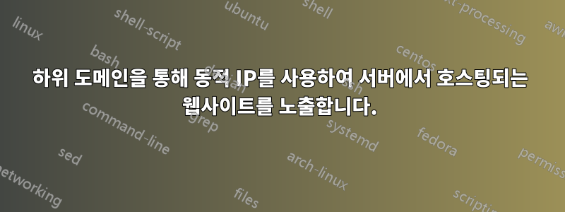 하위 도메인을 통해 동적 IP를 사용하여 서버에서 호스팅되는 웹사이트를 노출합니다.