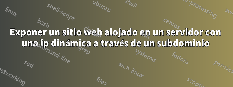 Exponer un sitio web alojado en un servidor con una ip dinámica a través de un subdominio