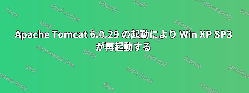 Apache Tomcat 6.0.29 の起動により Win XP SP3 が再起動する