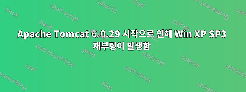 Apache Tomcat 6.0.29 시작으로 인해 Win XP SP3 재부팅이 발생함