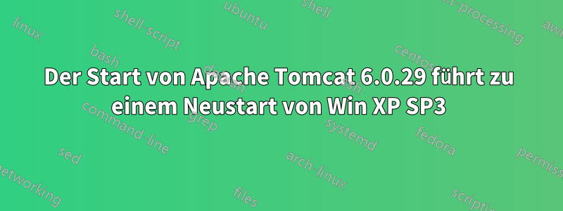 Der Start von Apache Tomcat 6.0.29 führt zu einem Neustart von Win XP SP3