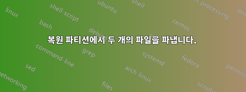 복원 파티션에서 두 개의 파일을 파냅니다.