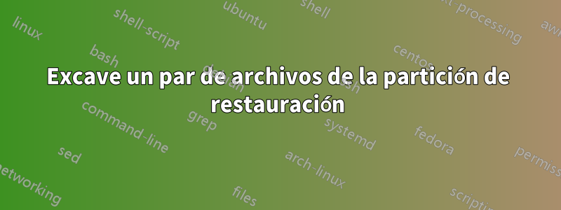 Excave un par de archivos de la partición de restauración