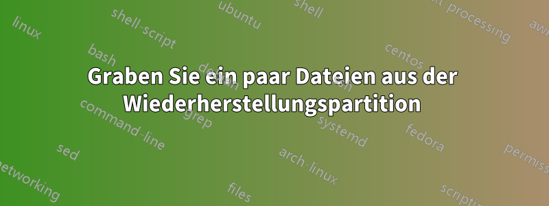 Graben Sie ein paar Dateien aus der Wiederherstellungspartition