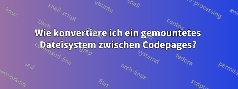 Wie konvertiere ich ein gemountetes Dateisystem zwischen Codepages?