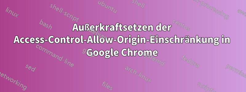 Außerkraftsetzen der Access-Control-Allow-Origin-Einschränkung in Google Chrome