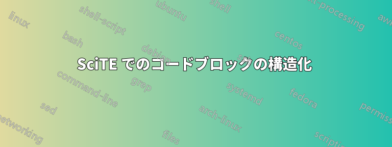 SciTE でのコードブロックの構造化