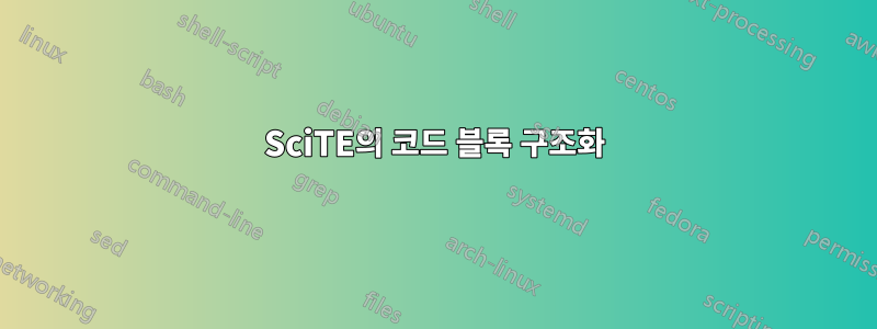 SciTE의 코드 블록 구조화