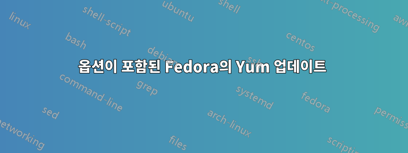 옵션이 포함된 Fedora의 Yum 업데이트