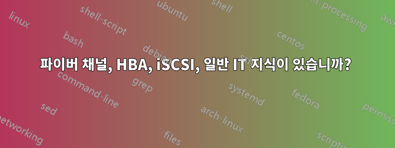 파이버 채널, HBA, iSCSI, 일반 IT 지식이 있습니까?