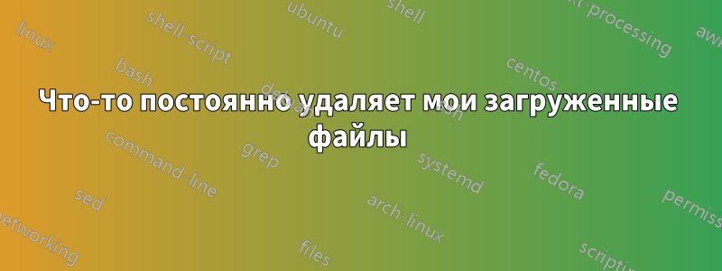 Что-то постоянно удаляет мои загруженные файлы