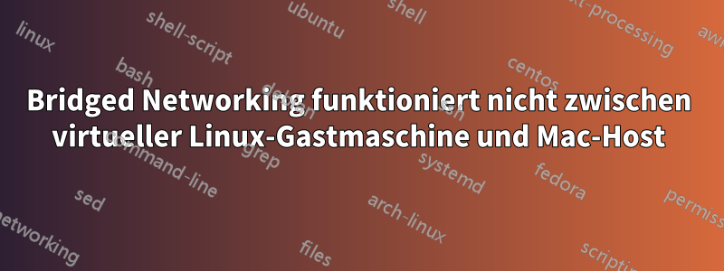 Bridged Networking funktioniert nicht zwischen virtueller Linux-Gastmaschine und Mac-Host