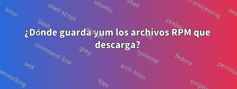 ¿Dónde guarda yum los archivos RPM que descarga?