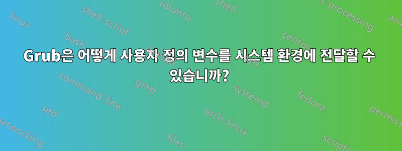 Grub은 어떻게 사용자 정의 변수를 시스템 환경에 전달할 수 있습니까?