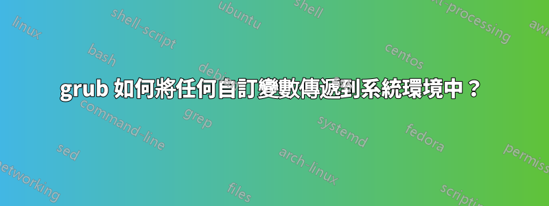 grub 如何將任何自訂變數傳遞到系統環境中？