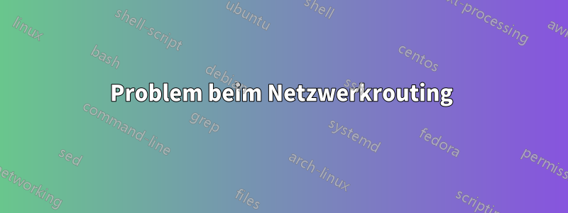 Problem beim Netzwerkrouting