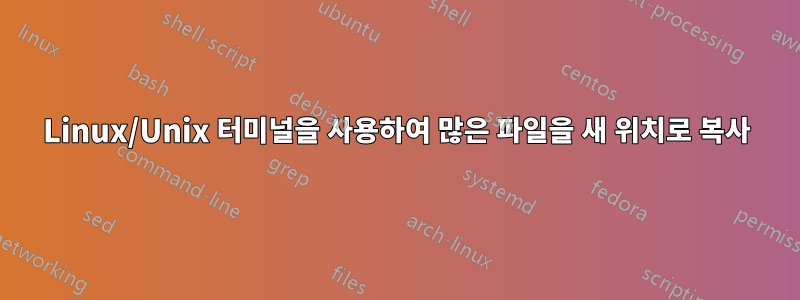 Linux/Unix 터미널을 사용하여 많은 파일을 새 위치로 복사