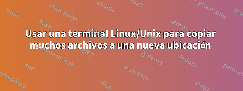 Usar una terminal Linux/Unix para copiar muchos archivos a una nueva ubicación