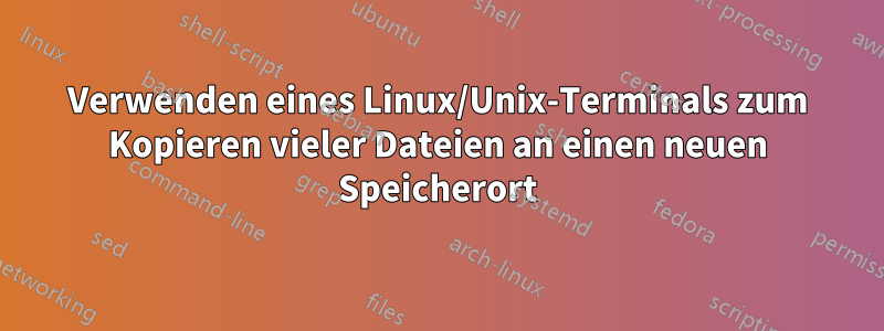 Verwenden eines Linux/Unix-Terminals zum Kopieren vieler Dateien an einen neuen Speicherort