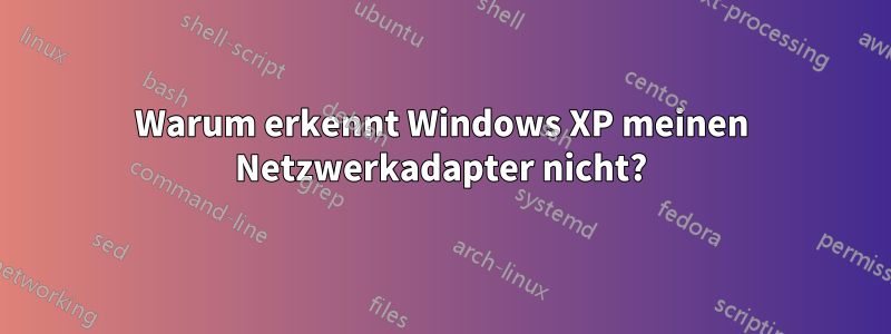 Warum erkennt Windows XP meinen Netzwerkadapter nicht?